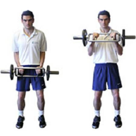 Body Solid Tricep Triceps Hammer Bar Free Weight Olympic 2in - Image 4