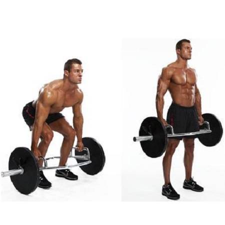 Body Solid Commercial Olympic Shrug Raised Handle Bar OTB50RH - Image 2