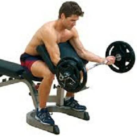 Body Solid Preacher Arm Curl Curling Attachment Accessory GPCA1 - Image 4