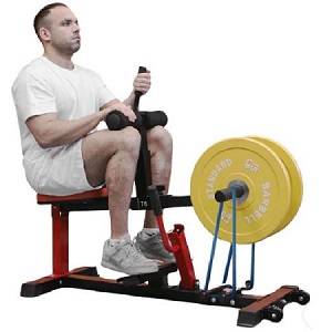Gym Fitness Exercise Seated Adjustable Leg Calf Raise Calves