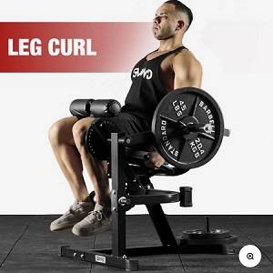 GMWD Seated CAM Leg Extension Legs Curl Ab & Back Machine FLLE02