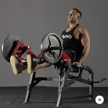 GMWD Seated Isolated Leg Extension Prone Curling Machine LE03 - Image 4