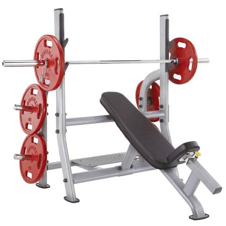 SteelFlex Olympic Free Weight Incline Bench & Spotter Stand NOIB - Image 2